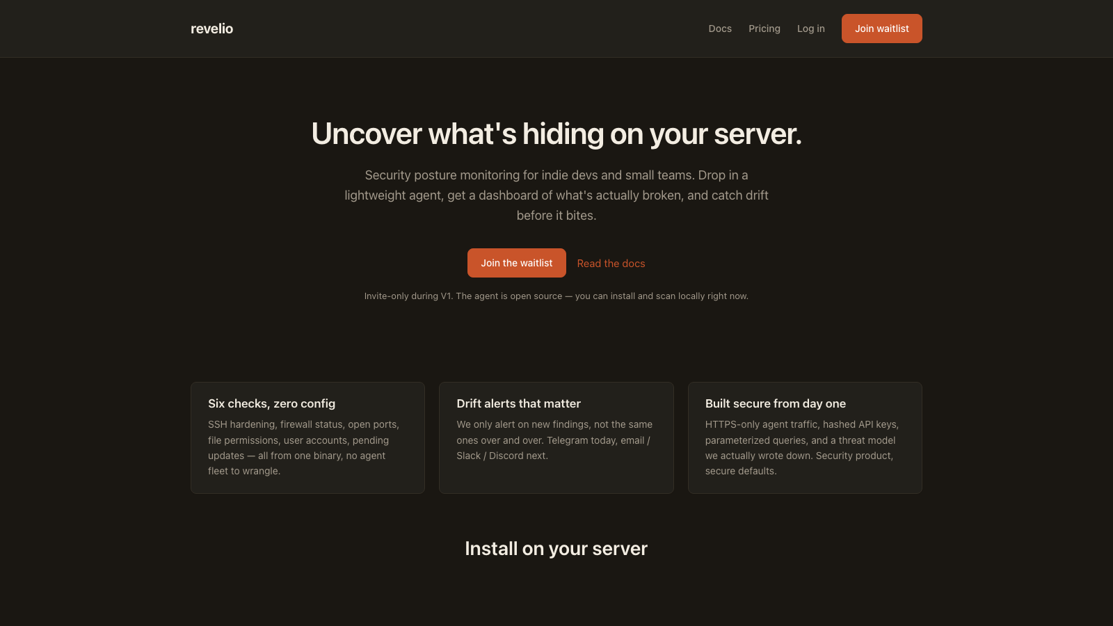 The Revelio landing page: Uncover what's hiding on your server